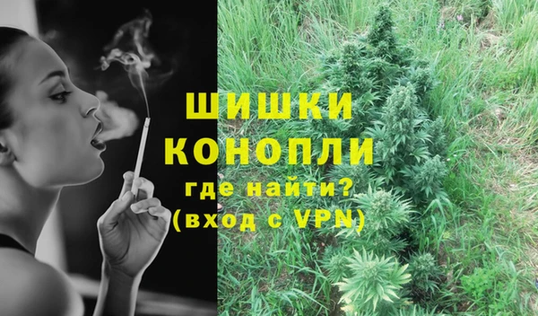 сатива Балабаново